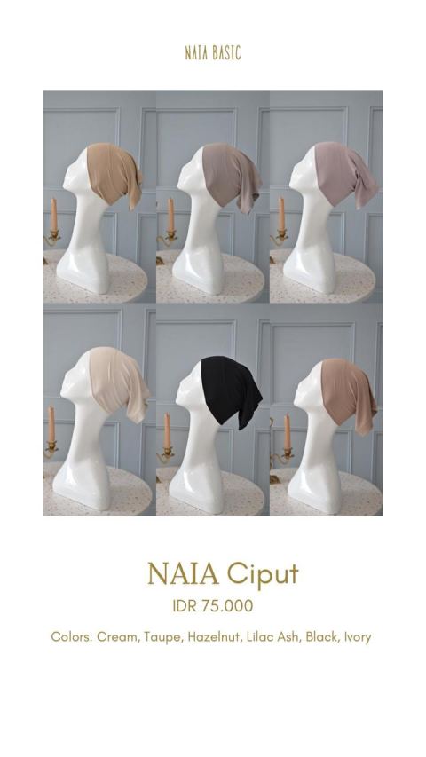 NAIA CIPUT